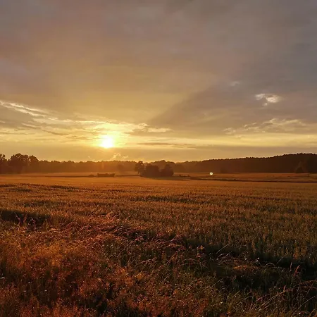 Hof Reckermann I 公寓 *