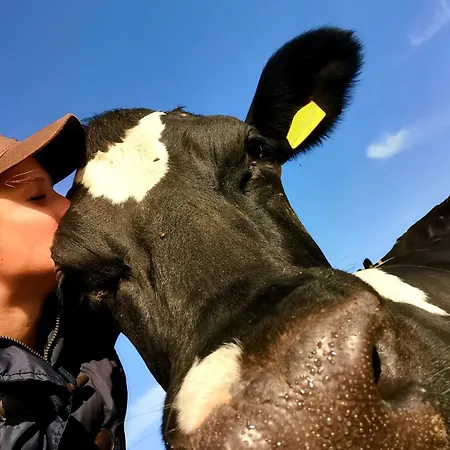 Hof Reckermann I 公寓 Linden (Uelzen)