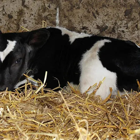 Hof Reckermann I Linden (Uelzen)