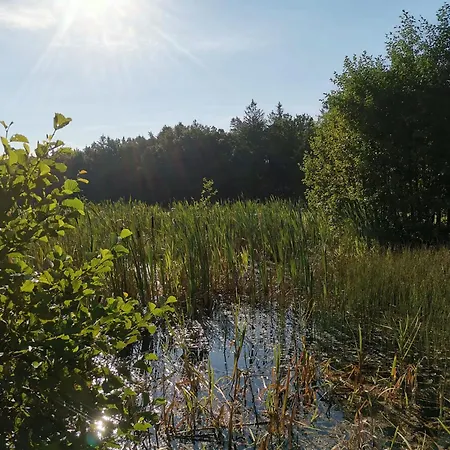 Hof Reckermann I * Linden (Uelzen)