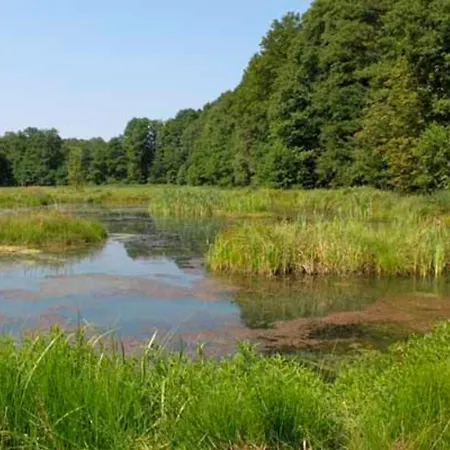 Hof Reckermann I * Linden (Uelzen)