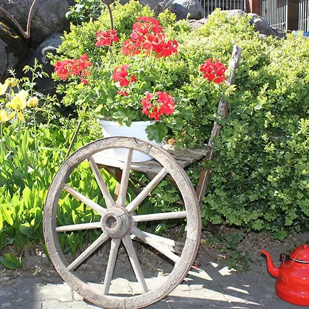 Hof Reckermann I 公寓 *