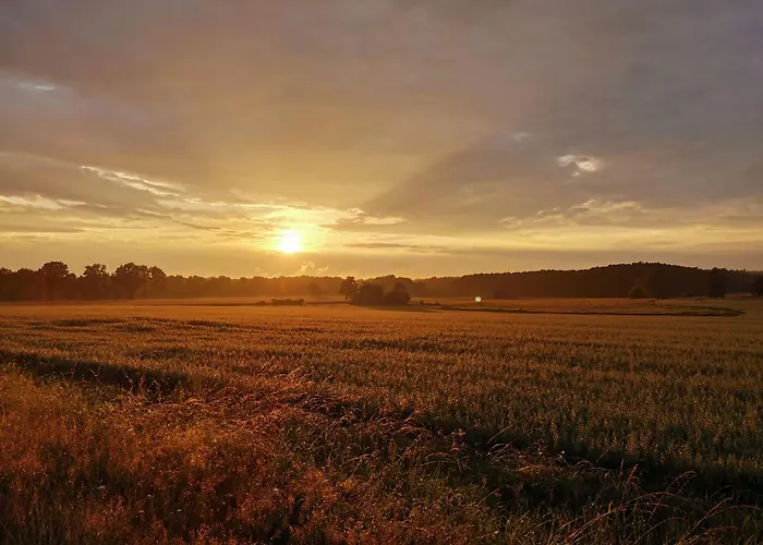 Hof Reckermann I Appartamento *