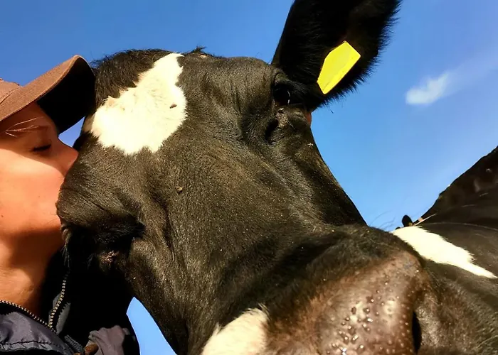 Hof Reckermann I Appartamento Linden (Uelzen)