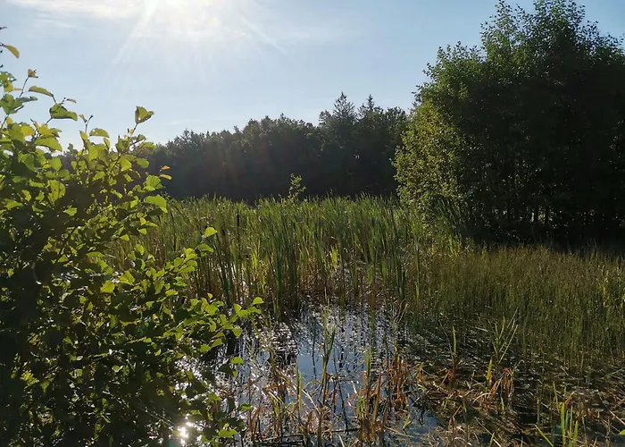 Hof Reckermann I * Linden (Uelzen)